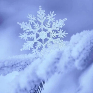 越南美女BBB真爽
